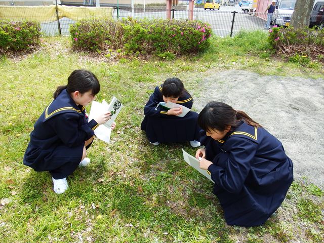 中学１年理科植物観察授業 西遠女子学園公式ブログ